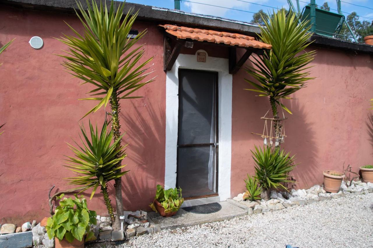 Yuccasa - Small Glamping Camping & Studio'S Pombal  Exterior foto