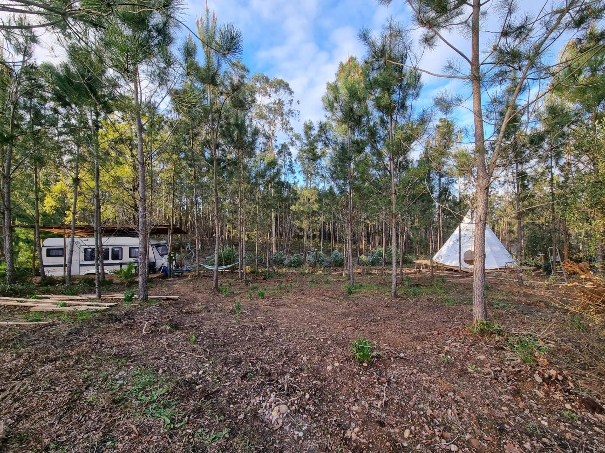 Yuccasa - Small Glamping Camping & Studio'S Pombal  Exterior foto